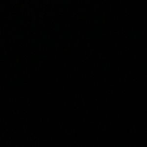 Meet your Posher, Jocelyn